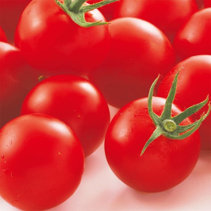 中玉トマト シンディースイート(R) （約21粒）1袋