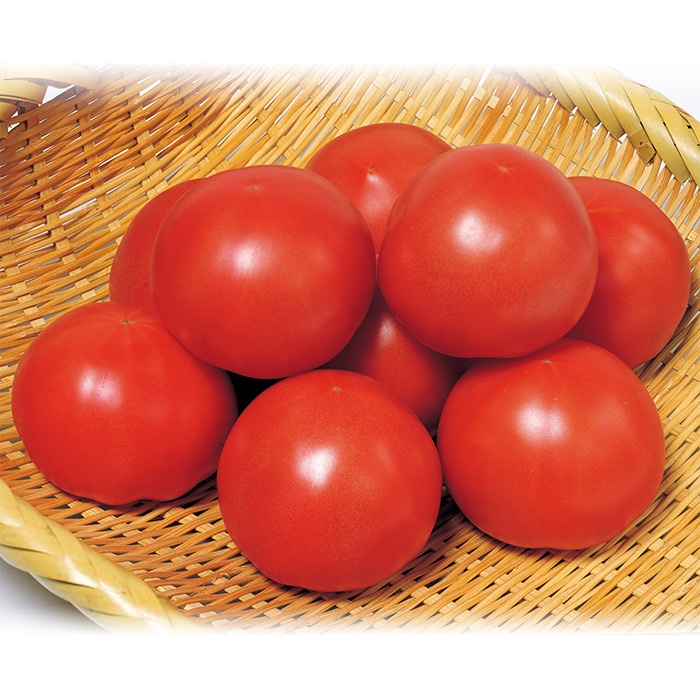大玉トマト りんか409 （プライマックス約100粒）大袋1袋