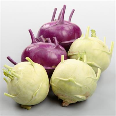 キャベツ コールラビ ミックス