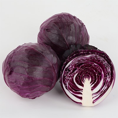 紫キャベツ レッドブライト