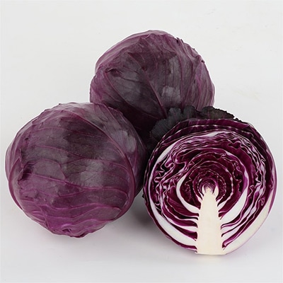 紫キャベツ レッドブライト