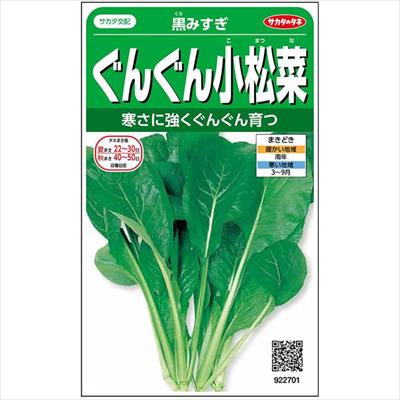 12月にまける野菜の種 種まきカレンダー 種 タネ 球根 苗の通販はサカタのタネ オンラインショップ