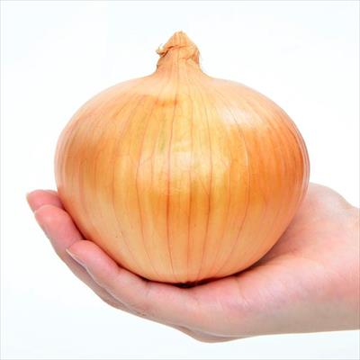 タマネギ アイドルももえ(R)