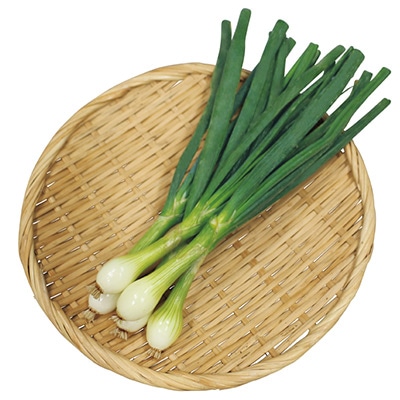 タマネギ 葉タマネギ