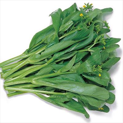 中国野菜 オータムポエム