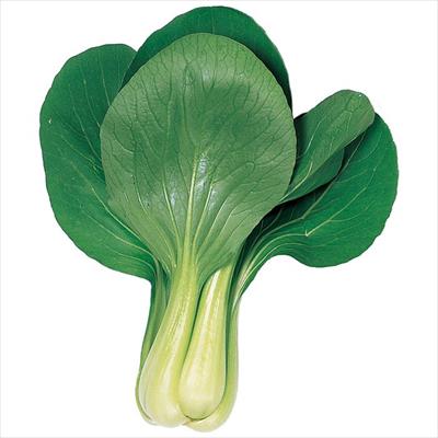 チンゲンサイ 武帝