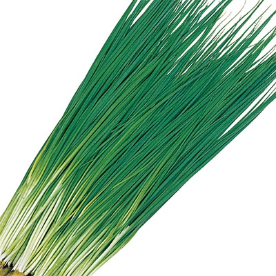 ネギ 九条葉ねぎ