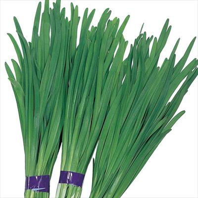 大葉ニラ グリーンロード