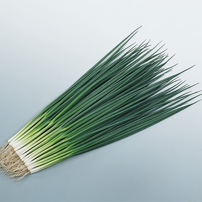 小ネギ すさまる