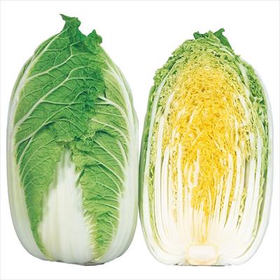 ハクサイ ゆめぶき502