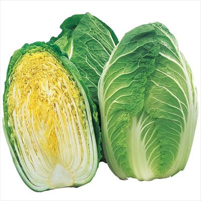 ハクサイ ちよぶき85