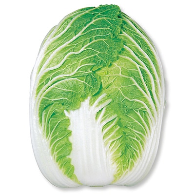 ハクサイ 耐病早生60日型