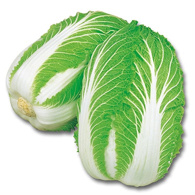 ハクサイ 耐病中生75日型