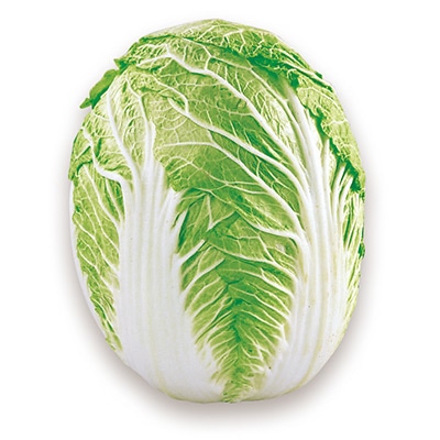 ハクサイ 加賀白菜