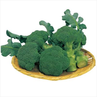 ブロッコリー ピクセル