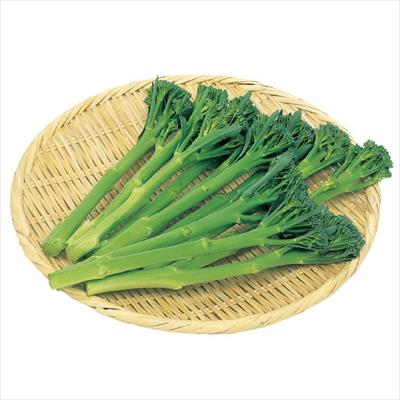 茎ブロッコリー スティックセニョール