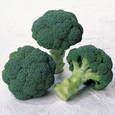 ブロッコリー サマードーム