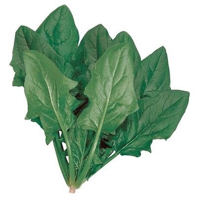 ホウレンソウ ソロモン