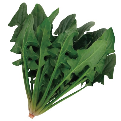 日本ほうれんそうタイプ 寒締め吾郎丸(R)