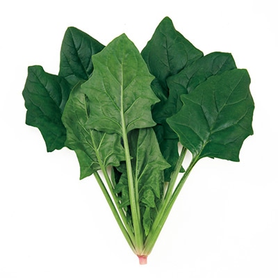 ホウレンソウ スーパーセーブ（R）