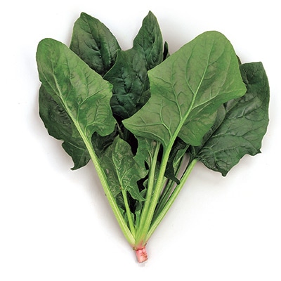 ホウレンソウ ブライトンスパーク