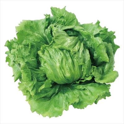 レタス パワースイープ