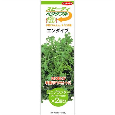 スピーディベジタブル エンダイブ （2回分）