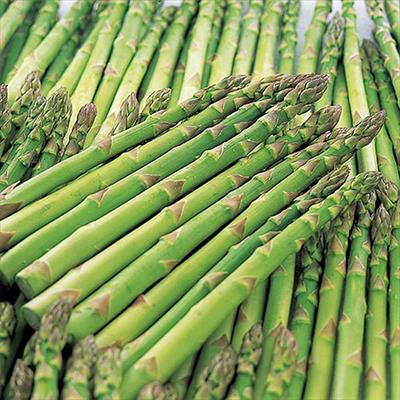 野菜 ハーブの種 キノコ 葉菜類 葉物野菜 アスパラガス かき菜 ハナナ 種 タネ 球根 苗の通販はサカタのタネ オンラインショップ