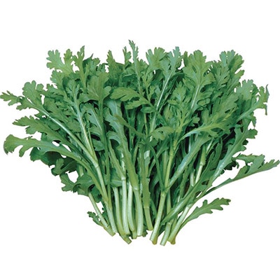 シュンギク  中葉春菊