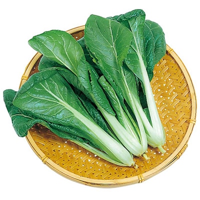 中国野菜 スープセロリ（芹菜）｜種（タネ）,球根,苗の通販はサカタの