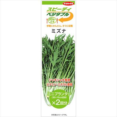 スピーディベジタブル ミズナ（2回分）