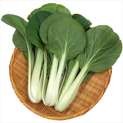 ツケナ 早生大阪しろな