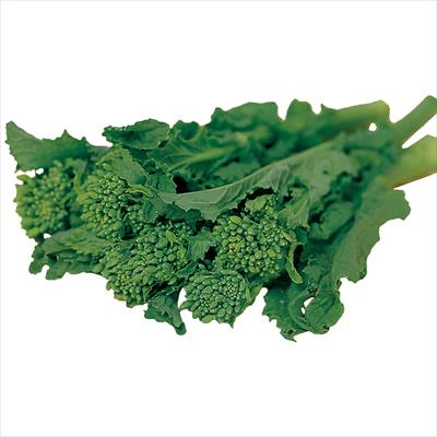 ハナナ 早陽一号（極早生）