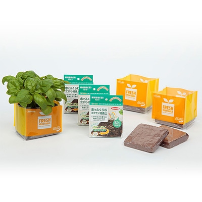 スピーディベジタブル 袋で育てるはじめてセット