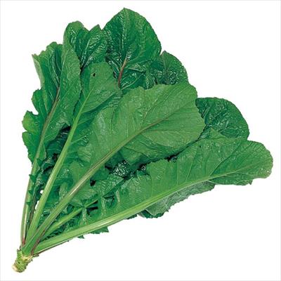 ツケナ さがみグリーン