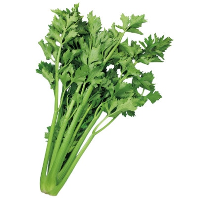 セロリ ミツバリアン