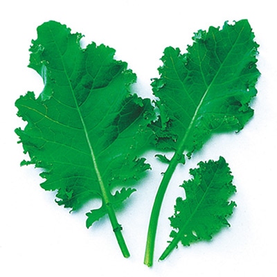 ベビーリーフ グリーンケール