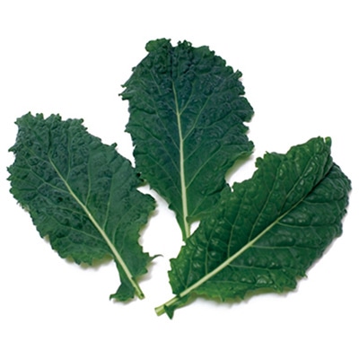 ベビーリーフ ブラックケール