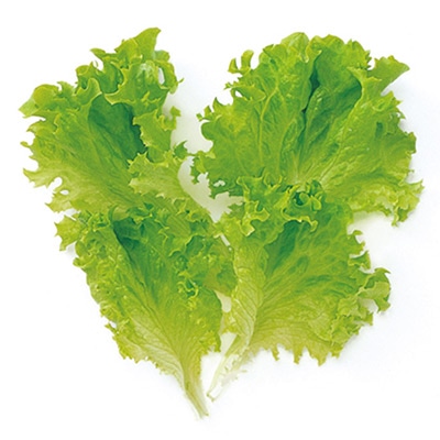 ベビーリーフ ロログリーン