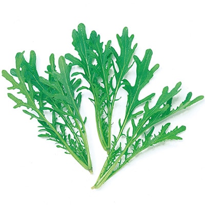 ベビーリーフ グリーンからし水菜