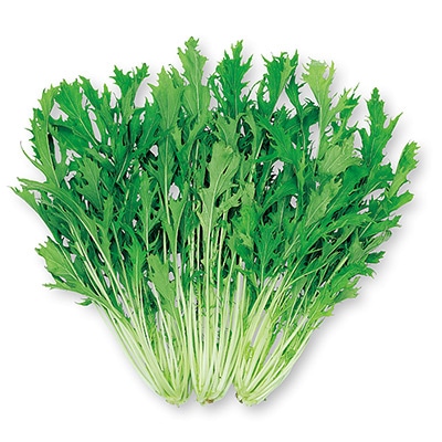 ミズナ 水天2号