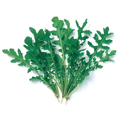 ベビーリーフ 切葉ロケット