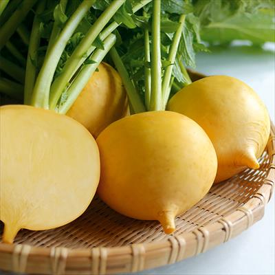 小カブ 味こがね