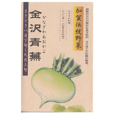 青首カブ 金沢青蕪