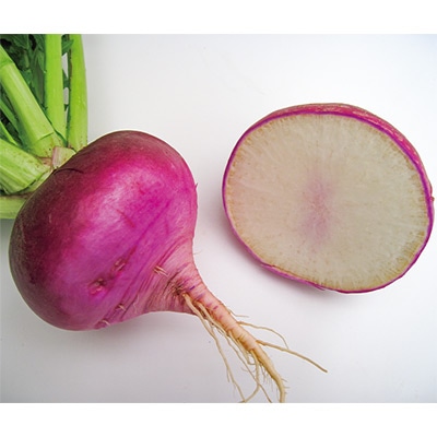 カブ 木曽紫かぶ