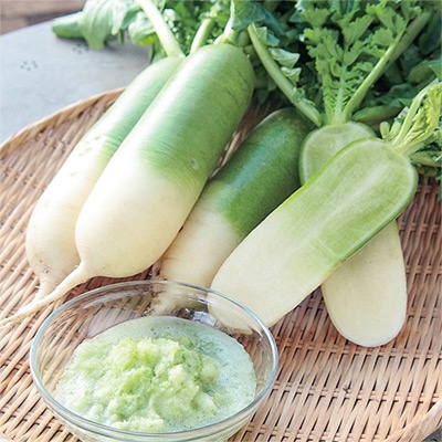 ミニダイコン 江都青長