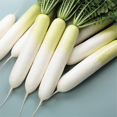 ダイコン 味自慢 冬しぐれ