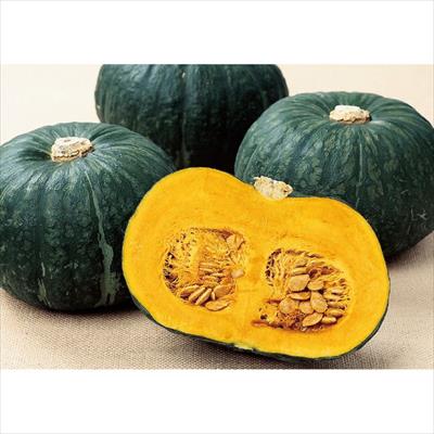 カボチャ くりほまれ(R)