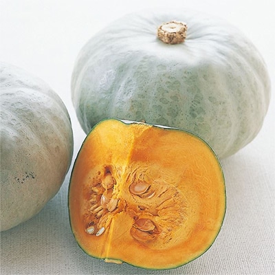 カボチャ 雪化粧