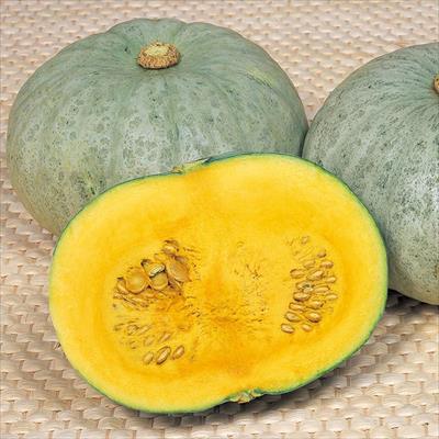 カボチャ 雪化粧200